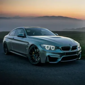 BMW / MINI Repair in Pinellas