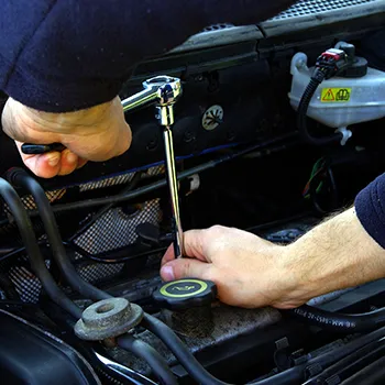 domestic auto repair pinellas