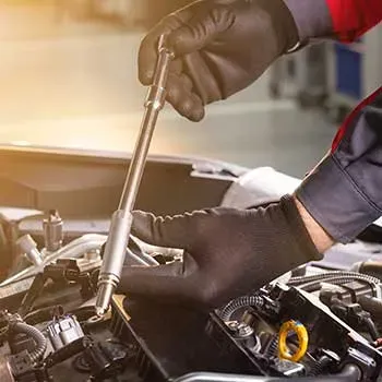 domestic auto repair pinellas