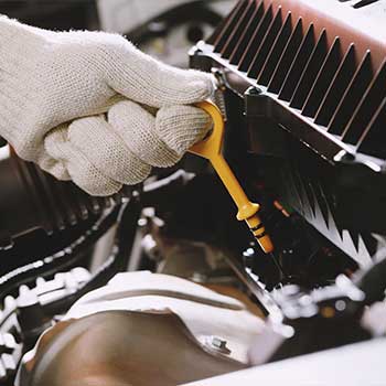 Oil Change pinellas park fl